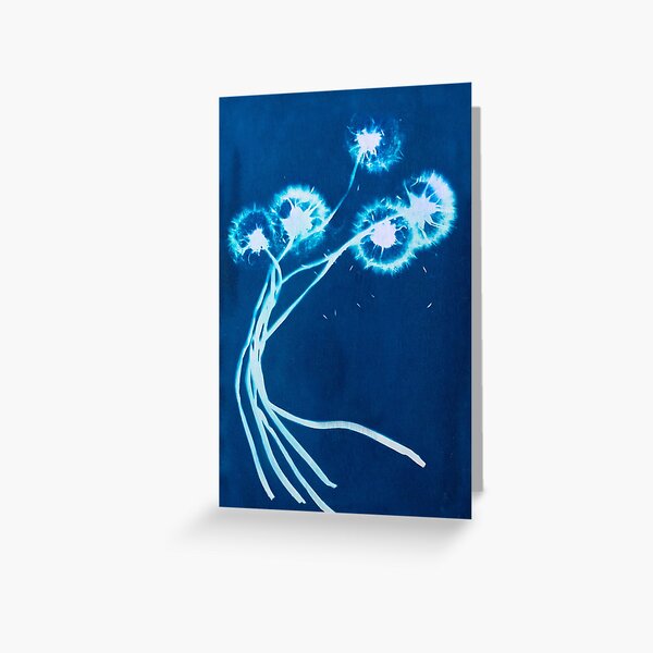 Item preview, Cyanotype: crested dandelions designed and sold by chiara-chiarel.