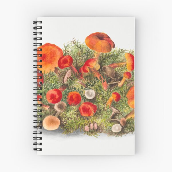 Artikelvorschau, Vintage Nahrungssuche Pilz Ernte Pilzkern Mykologie entworfen und verkauft von ArtbugDesigns.