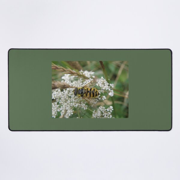 Item preview, Hoverfly en fotografía de flores silvestres blancas designed and sold by naturegallery.