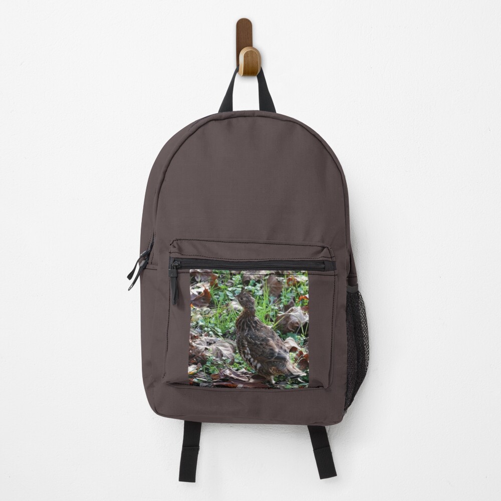 Item preview, Backpack designed and sold by chstudios.