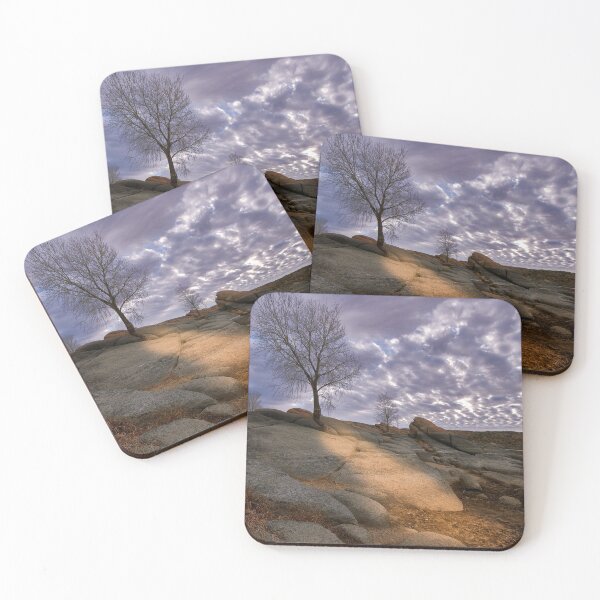 Item preview, Barren designed and sold by BGSPhoto.