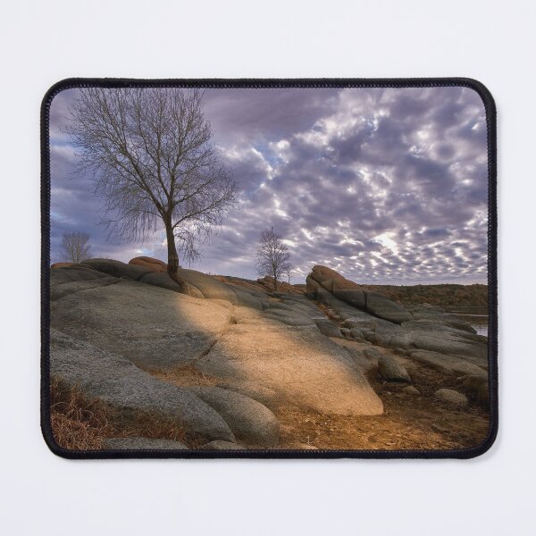 Item preview, Barren designed and sold by BGSPhoto.