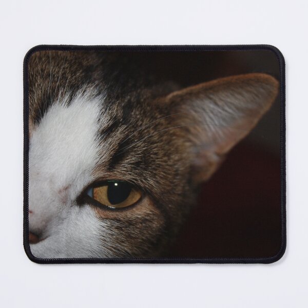 Item preview, Here kitty, kitty... designed and sold by chstudios.