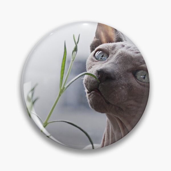 Item preview, Hairless Sphynx Cat designed and sold by FindYouByZ.
