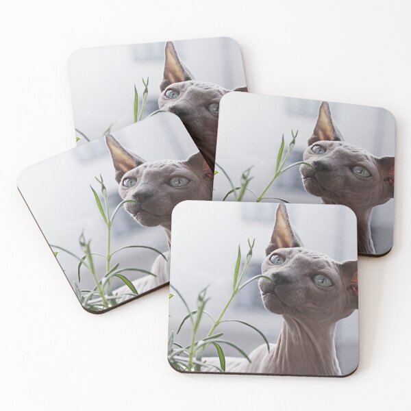 Item preview, Hairless Sphynx Cat designed and sold by FindYouByZ.