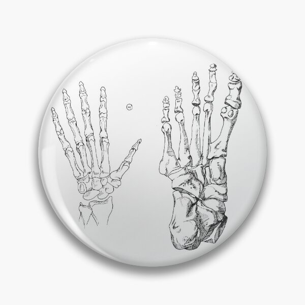 Item preview, Bone Illustration designed and sold by Abby Olsen.