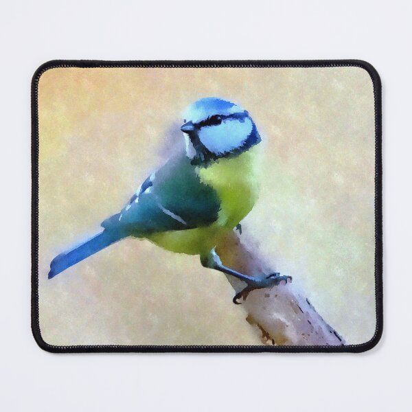 Blue Tit Mouse Pad