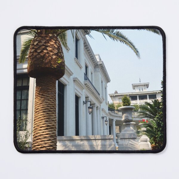 Item preview, Palm Tree and Residence in Savannah Georgia. designed and sold by Billlee.