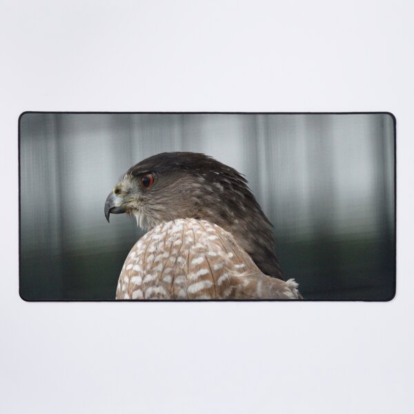 Item preview, Coopers Hawk designed and sold by Susie Kramer.