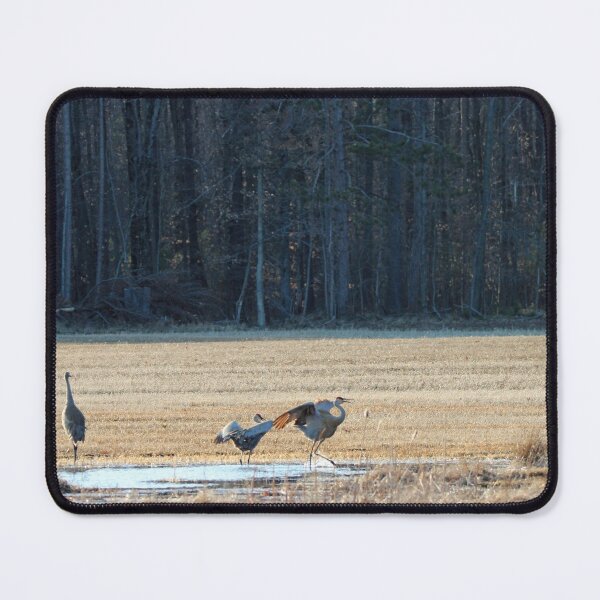 Item preview, Sandhill Cranes Two designed and sold by Susie Kramer.