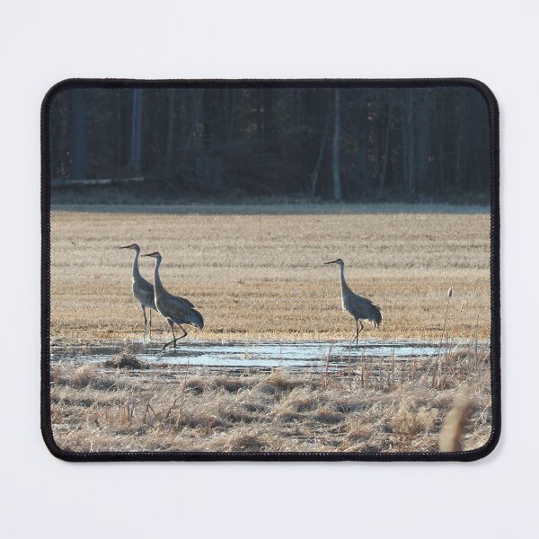 Item preview, Sandhill Cranes One designed and sold by Susie Kramer.