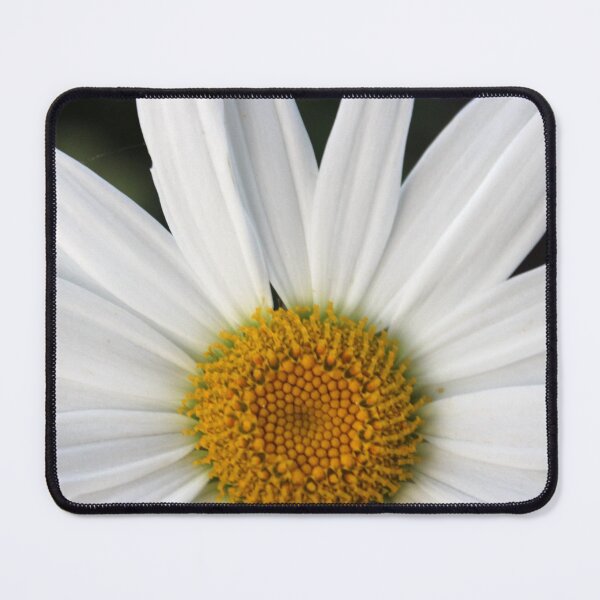 Item preview, Hello Daisy designed and sold by Susie Kramer.