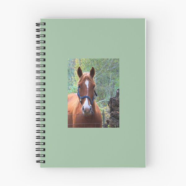Item preview, Mountain Horse Study 1 designed and sold by chstudios.