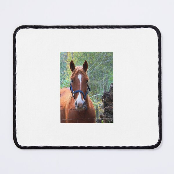 Item preview, Mountain Horse Study 1 designed and sold by chstudios.