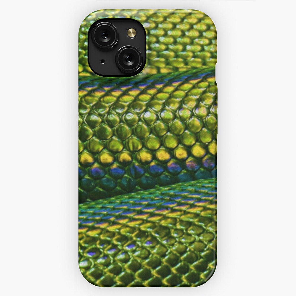 Bright Green Snake Reptile Scales Pattern Photograph