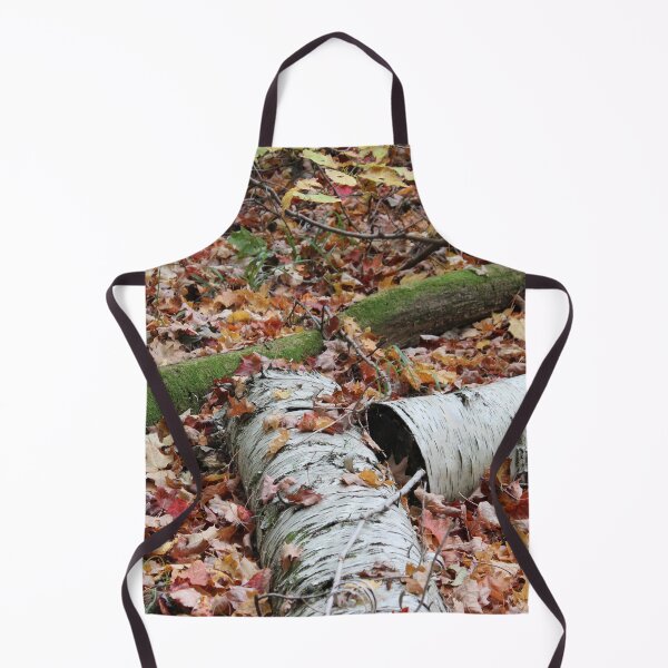 Item preview, Fallen Birch designed and sold by Susie Kramer.