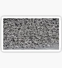 Snowstorm Sticker