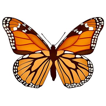 Michoacán monarchs butterfly  Art Board Print for Sale by Keny13