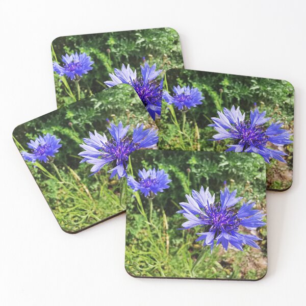 Item preview, Centaurea cyanus flowers Blue flower Cornflower Photos designed and sold by AlinaOz.