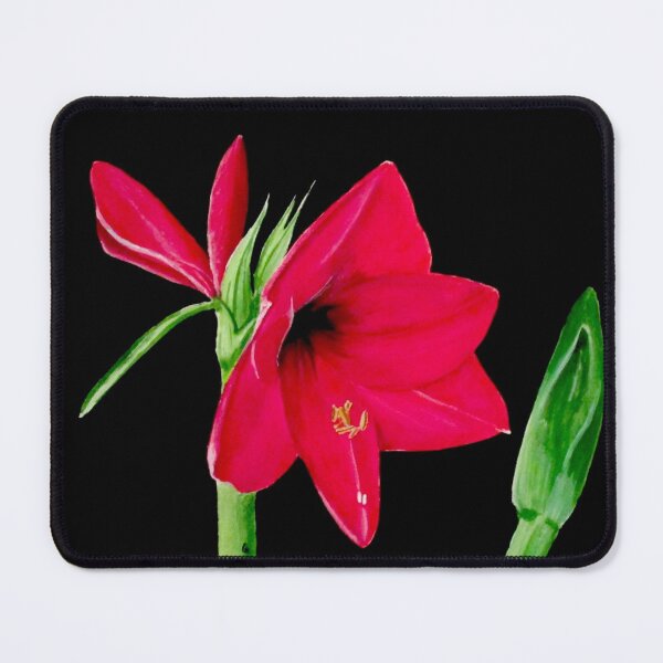 Item preview, Amaryllis designed and sold by PaintedbyCarol.