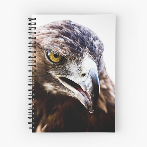 Item preview, Golden Eagle designed and sold by elfcall.