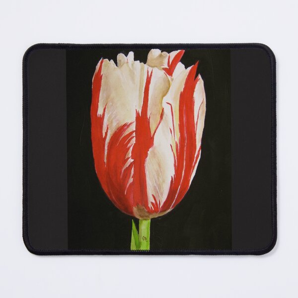 Item preview, Red and White Tulip designed and sold by PaintedbyCarol.