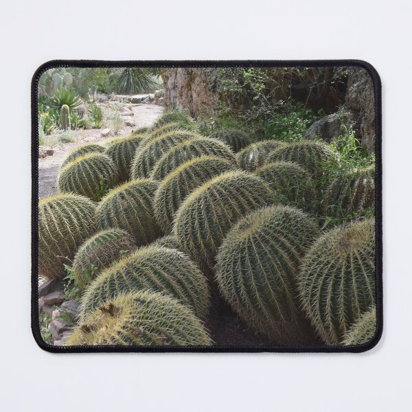 Item preview, Barrel Cacti Border designed and sold by Kathleen Brant.
