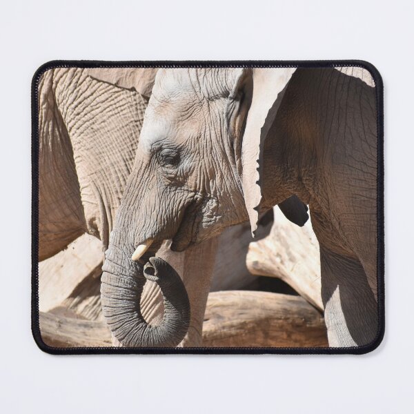 Item preview, Baby Elephant with Mom designed and sold by Kathleen Brant.