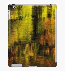 Gold on Rhone river iPad Case/Skin