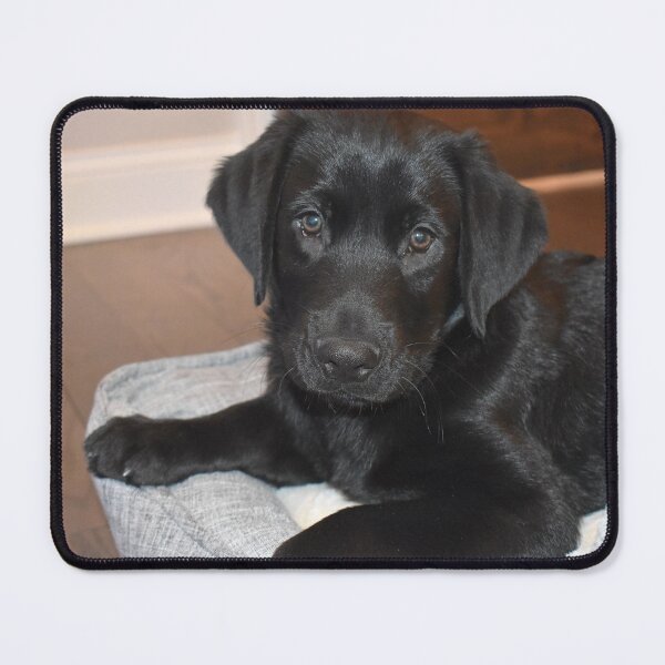 Item preview, Puppy Smokey designed and sold by Kathleen Brant.