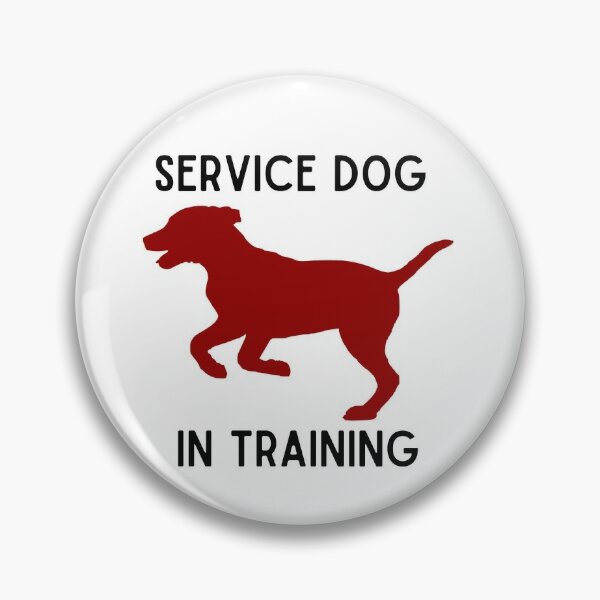 Pin on Dog Training