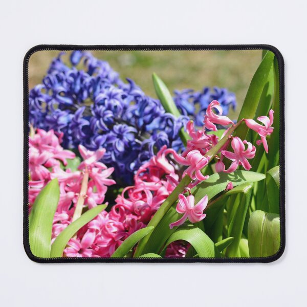 Item preview, Happy Hyacinths of Early Spring designed and sold by inklingsphotos.