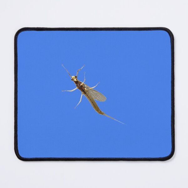 Item preview, Giant Mayfly designed and sold by derbyisdead.