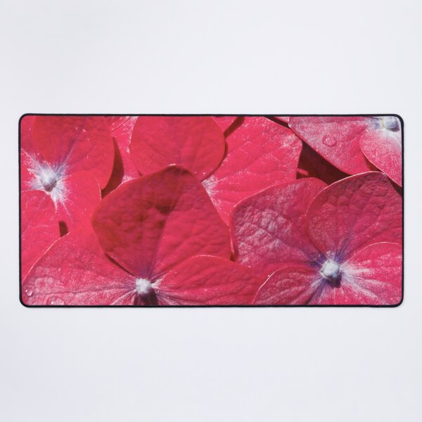Item preview, Hydrangea closeup designed and sold by Gaspar Avila.