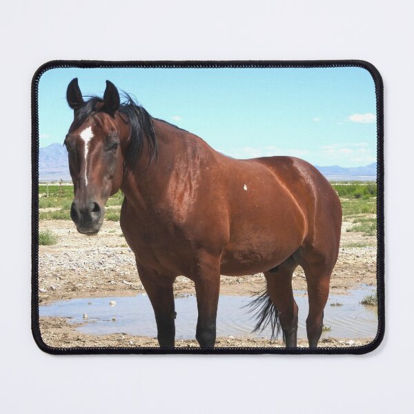 Item preview, red horse red mustang designed and sold by Stephanie Skeem.