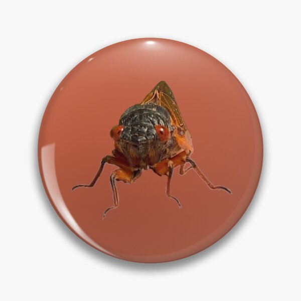 Item preview, Cicada designed and sold by derbyisdead.