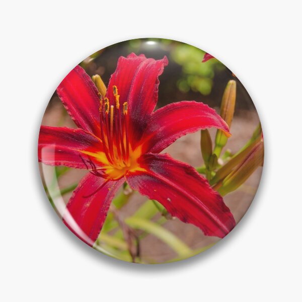 Item preview, Daylily designed and sold by Helena-Ks-Art.