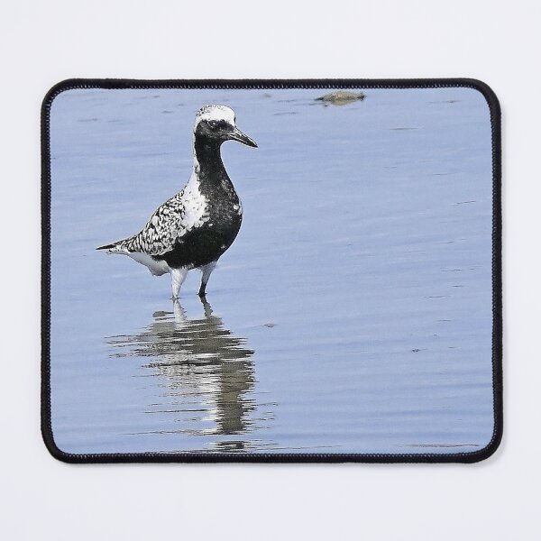 Item preview, r2445/ site ornithologique-du-teich - Pluvier argenté - 2018 par Okaio Créations - Olavia-Olao designed and sold by o.okaïo.