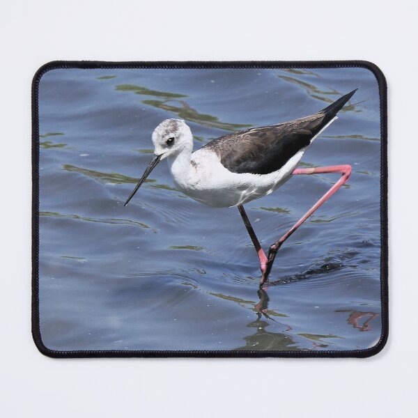 Item preview, 2440/ ornithologique-du-teich Echasse blanche 2018 par Okaio Créations - Olavia-Olao designed and sold by o.okaïo.