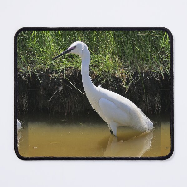 Item preview, r2426/ site ornithologique-du-teich - Aigrette garzette  2018 par Okaio Créations - Olavia-Olao   designed and sold by o.okaïo.