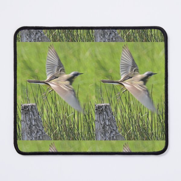 Item preview, r2427/ ornithologique-du-teich  Bergeronnette printanière  2018 par Okaio Créations - Olavia-Olao  designed and sold by o.okaïo.