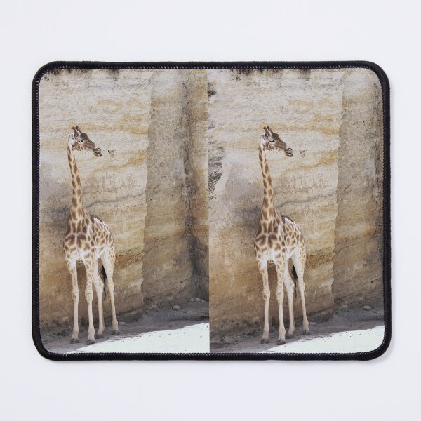 Item preview, r2411/ Ton sur ton ! : Girafe d’Afrique centrale 2020 par Okaio Créations - Olavia-Olao designed and sold by o.okaïo.