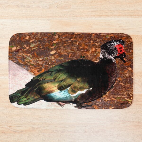 Item preview, A show of feathers designed and sold by B. Randi Bailey.