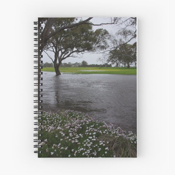 Item preview, Swollen Naracoorte Creek designed and sold by davidjc.
