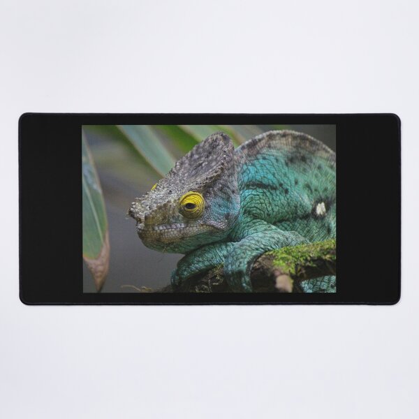 Item preview, Parson's Chameleon designed and sold by LeanneAllen.