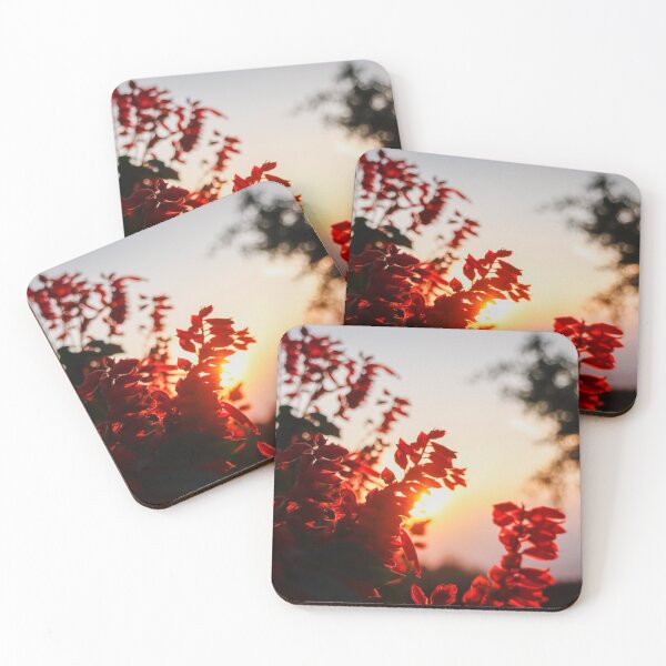 Item preview, Sunset behind a bush designed and sold by Ernest-Flat.