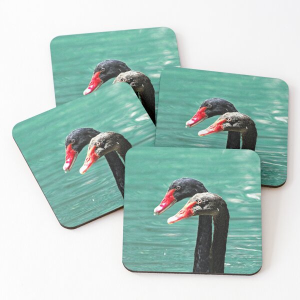 Item preview, Black Swans Couple Birds Closeup designed and sold by Anna Lemos.
