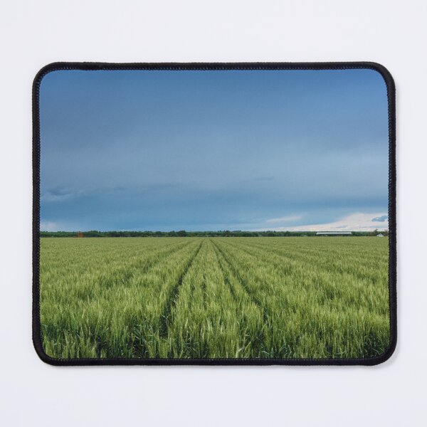 Item preview, Colorado Green Rice Field Scene designed and sold by JoyforU.