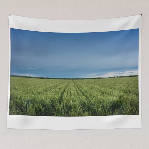 Item preview, Colorado Green Rice Field Scene designed and sold by JoyforU.