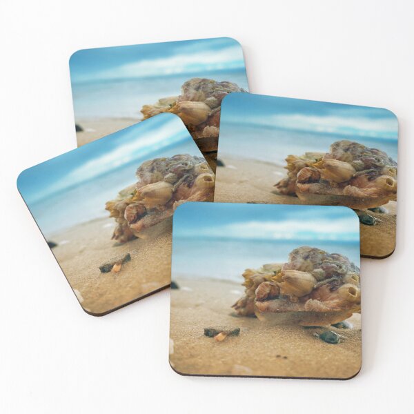 Item preview, Seashell on the beach designed and sold by Ernest-Flat.